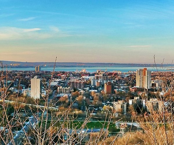 Hamilton multi income property