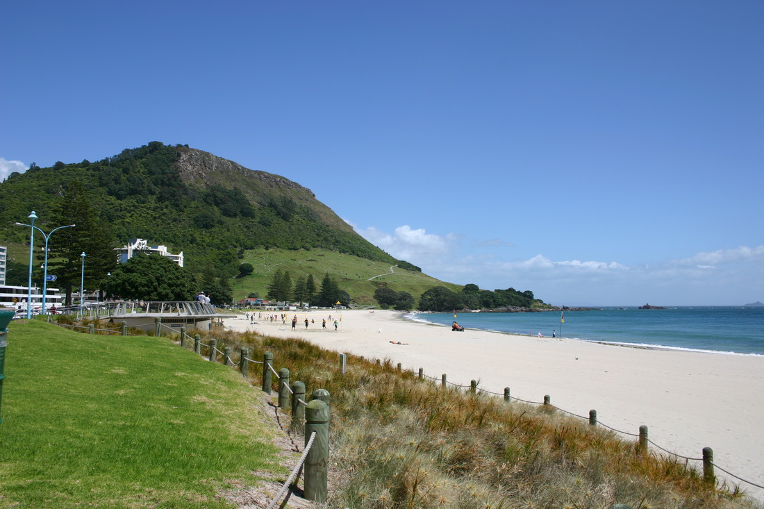 Mt Maunganui property