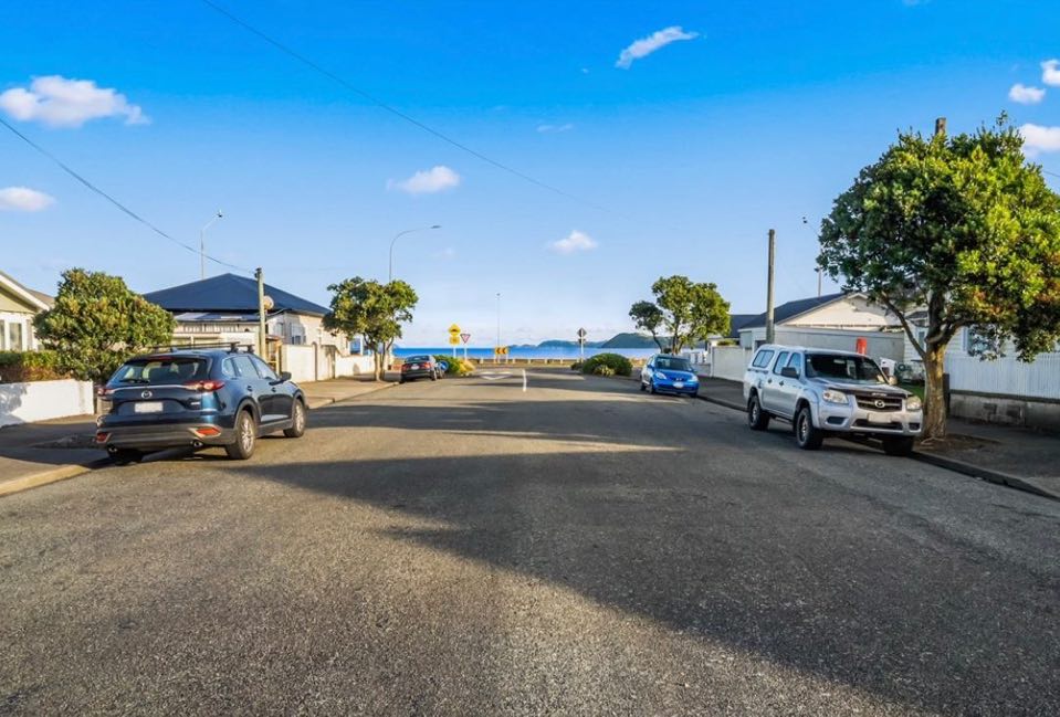 Petone Wellington property