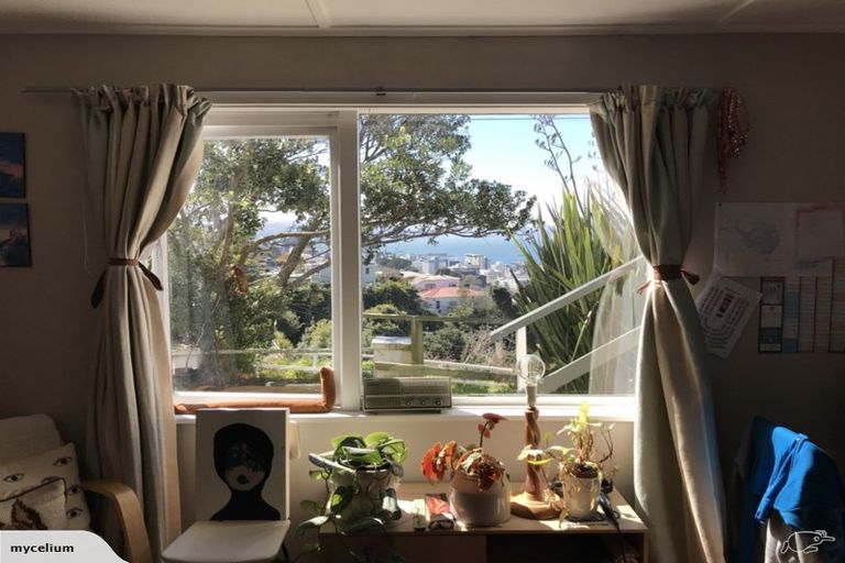 Wellington 5 + 1 bedroom - photo 2