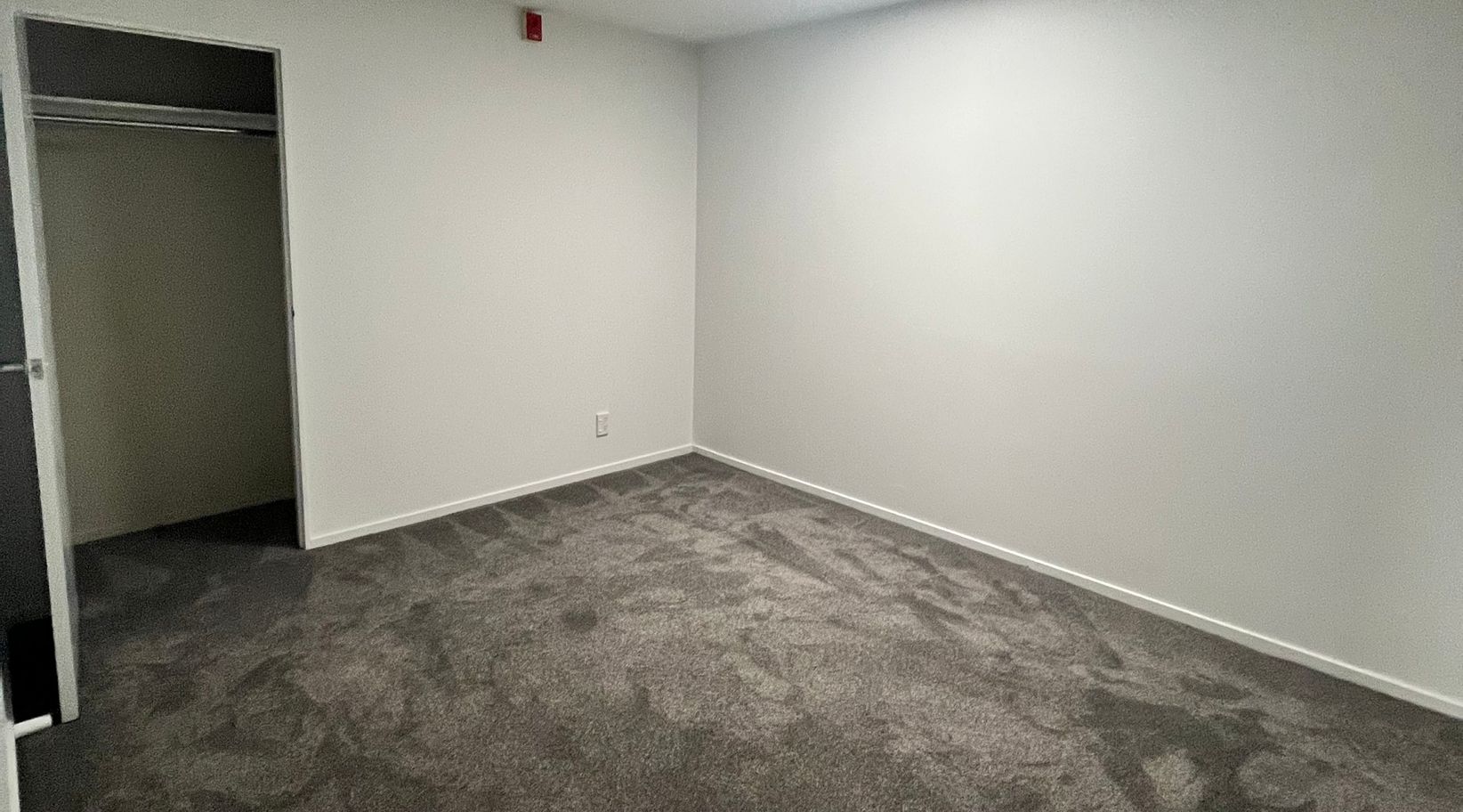 Wellington 3 bedroom + study - photo 19